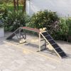 Dog Agility Ramp